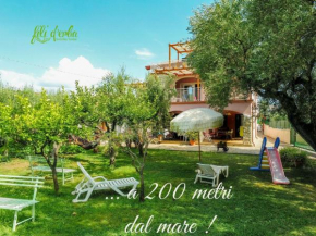 Fili d'Erba Cilento